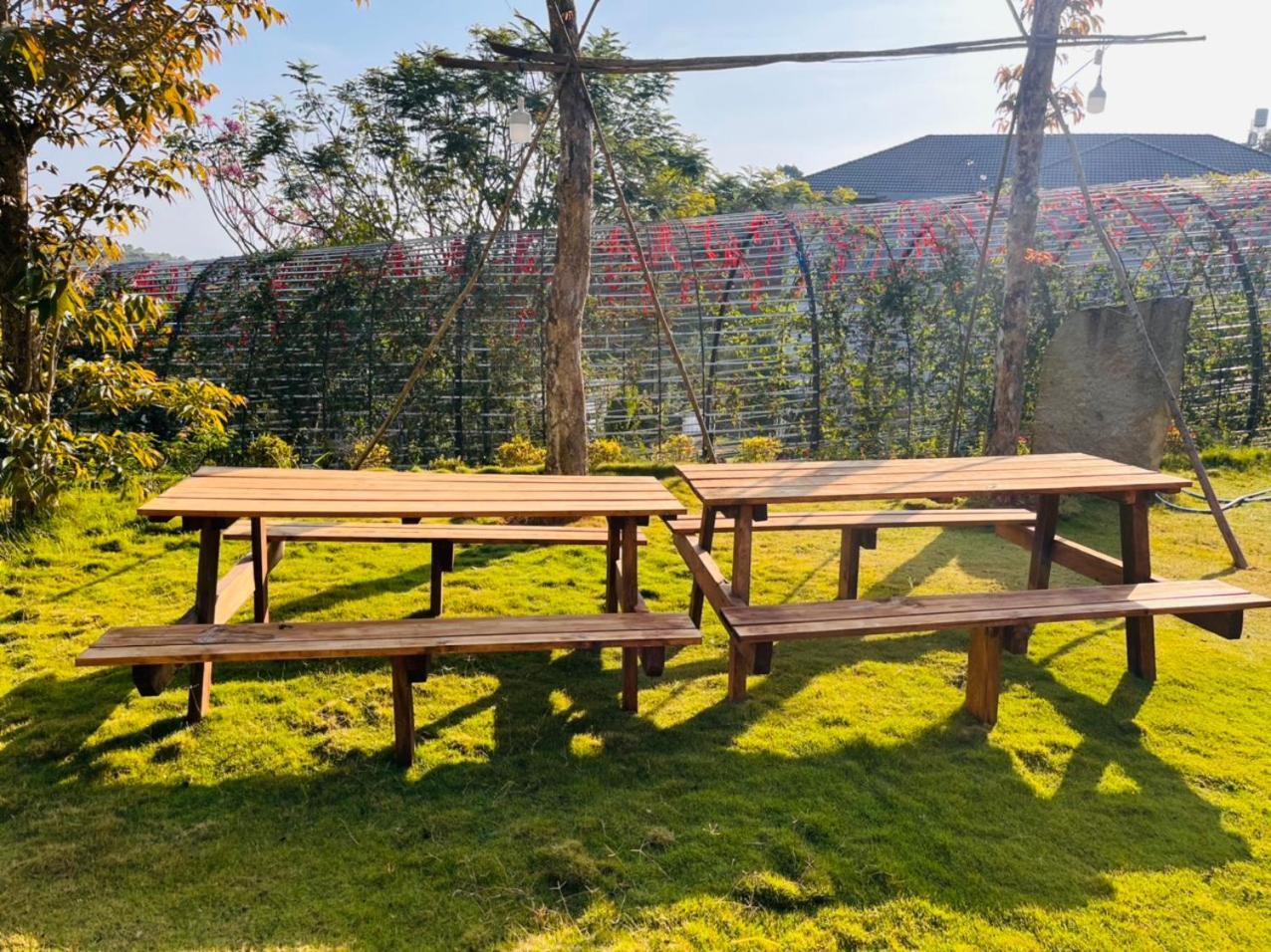 Homestay Tulip Garden باو لوك المظهر الخارجي الصورة